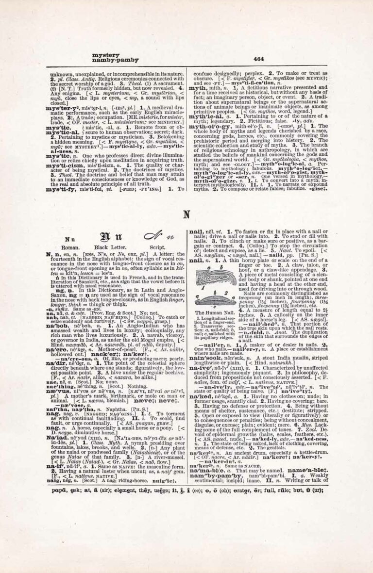 Vintage Dictionary Page Letter M-N, Page 464