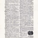 Vintage Dictionary Web 466