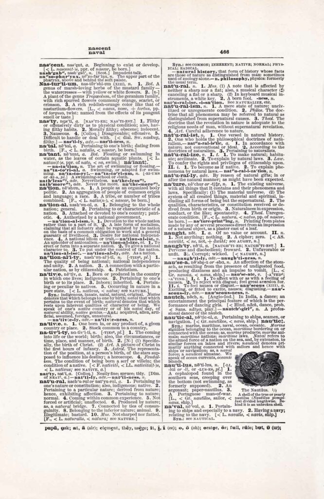 Vintage Dictionary Web 466