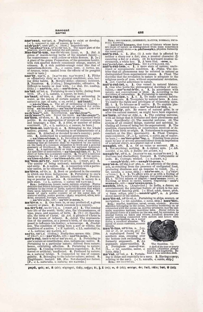 Vintage Dictionary Page Letter N, Page 466