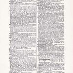 Vintage Dictionary Web 467