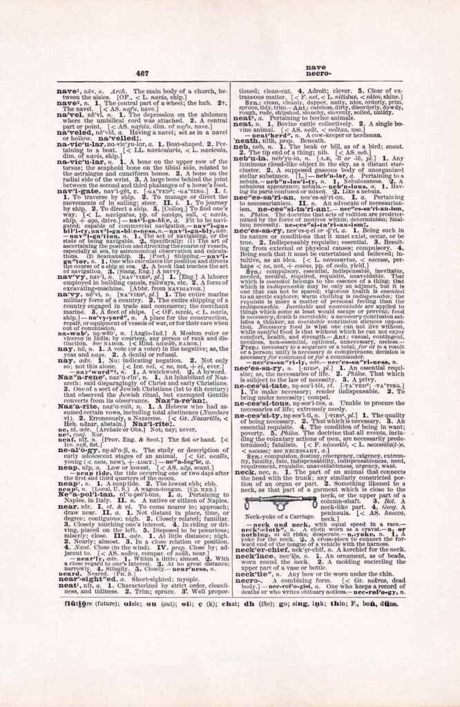Vintage Dictionary Web 467