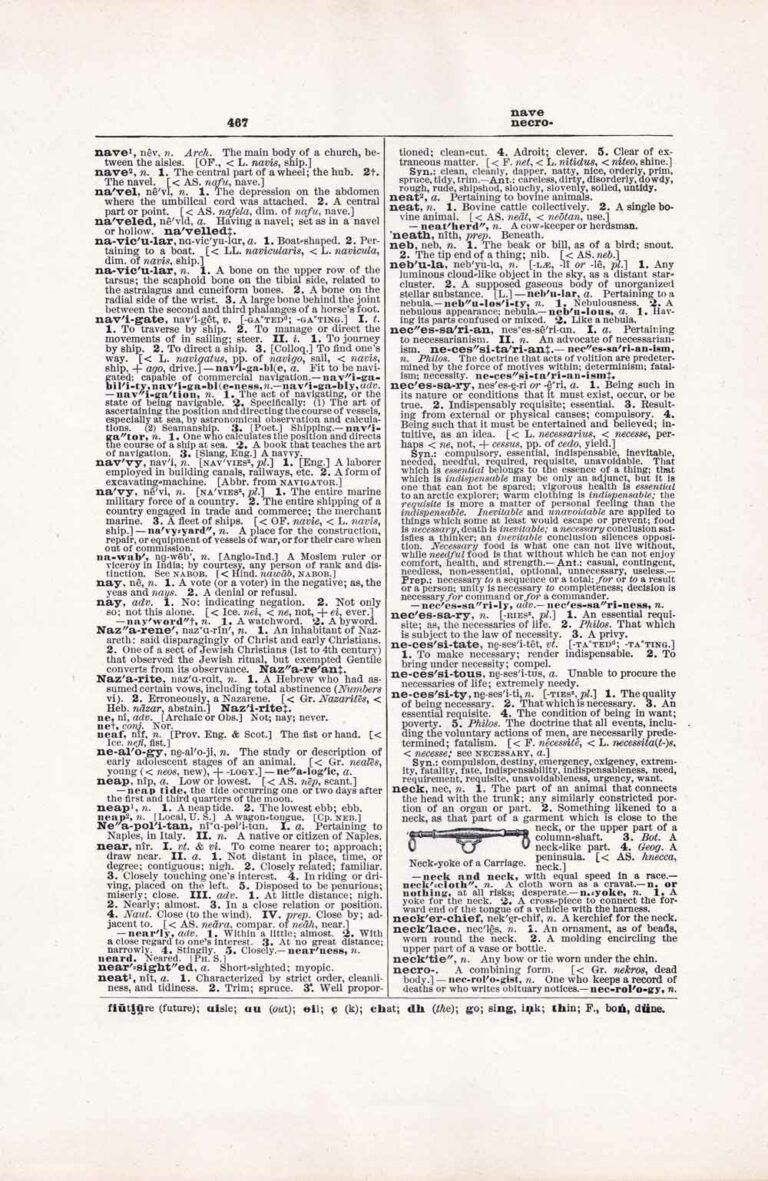 Vintage Dictionary Page Letter N, Page 467