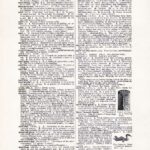 Vintage Dictionary Web 470