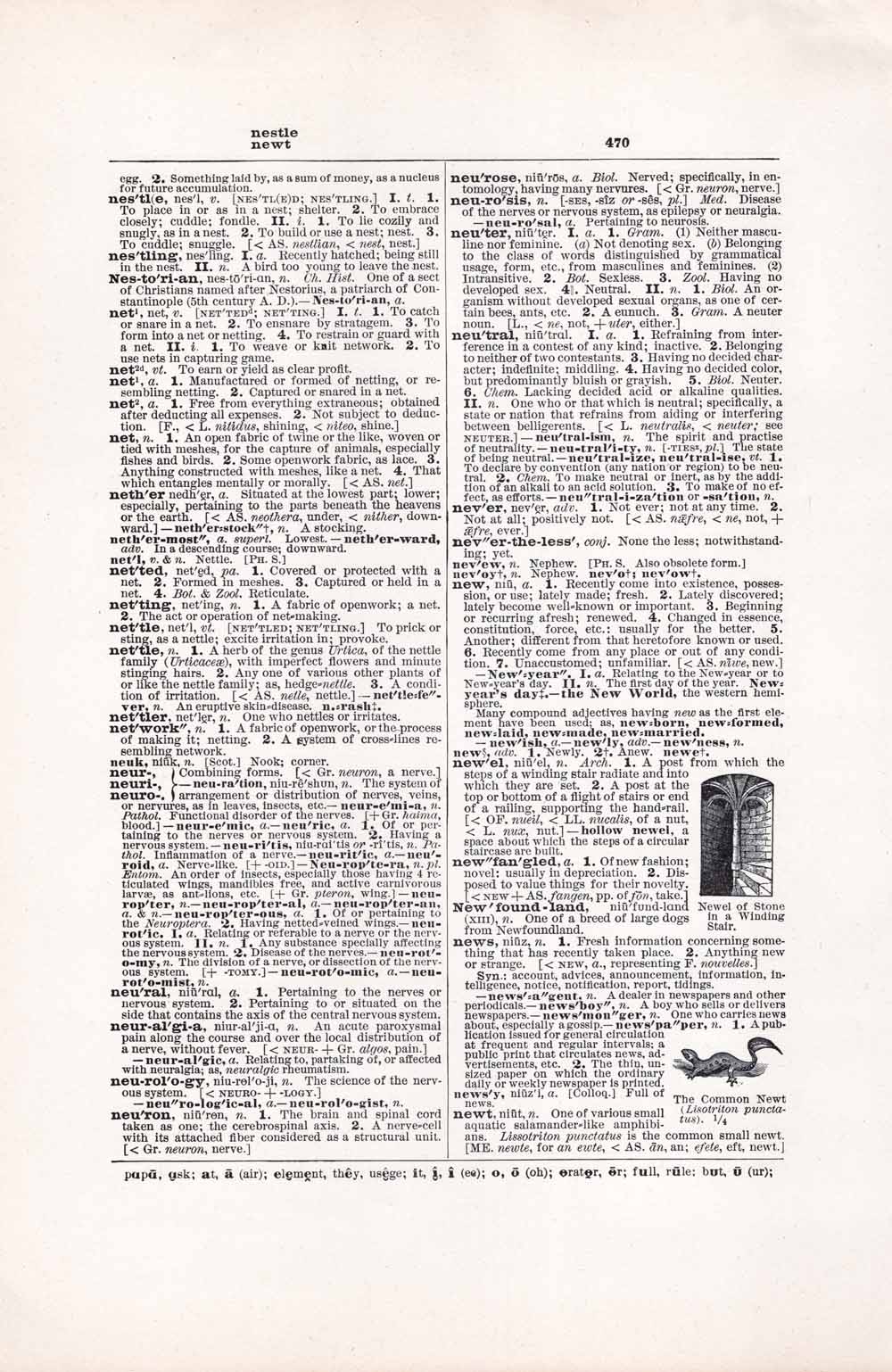 Vintage Dictionary Web 470