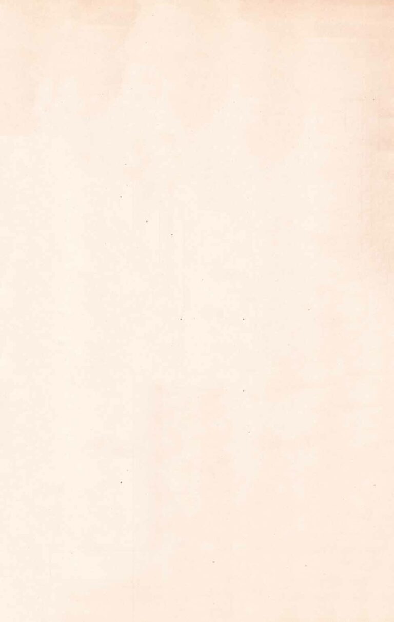 Old Book Paper Texture WB 1803