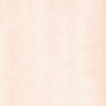 Wbpaper Web1804