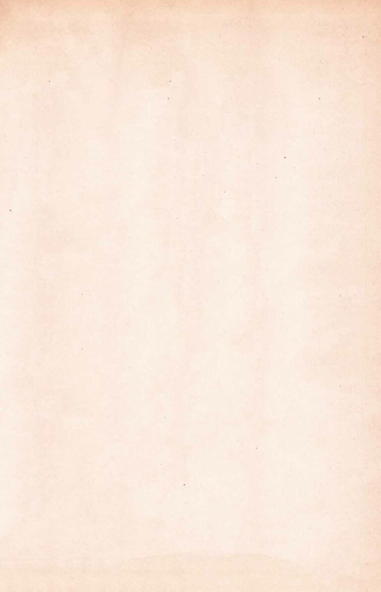 Old Book Paper Texture WB 1804