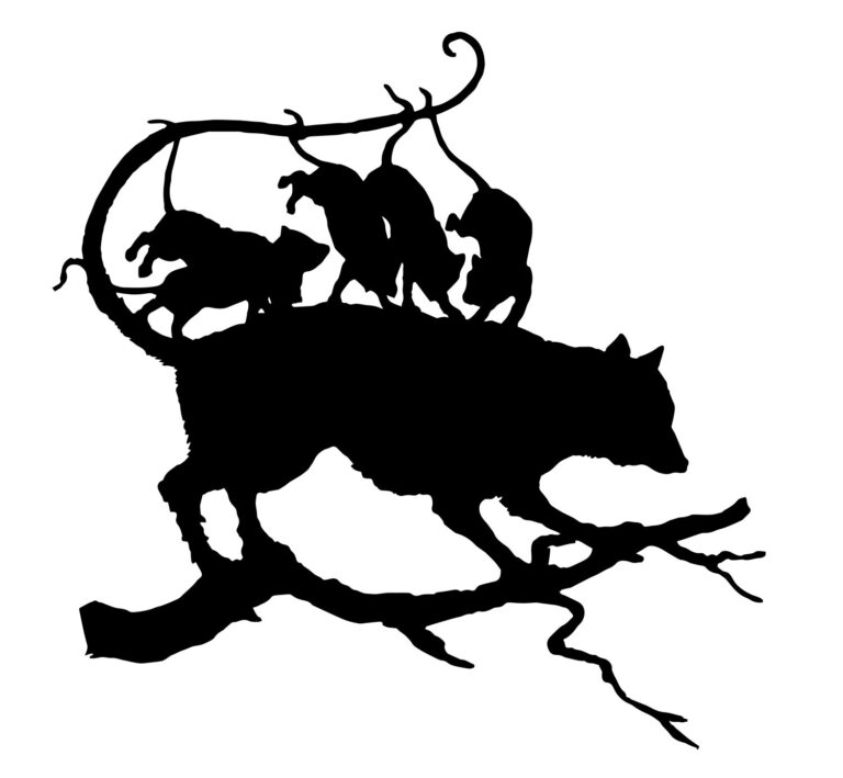 Wolf Pups Silhouette Graphic