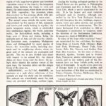 Zoology Wb6416 Web