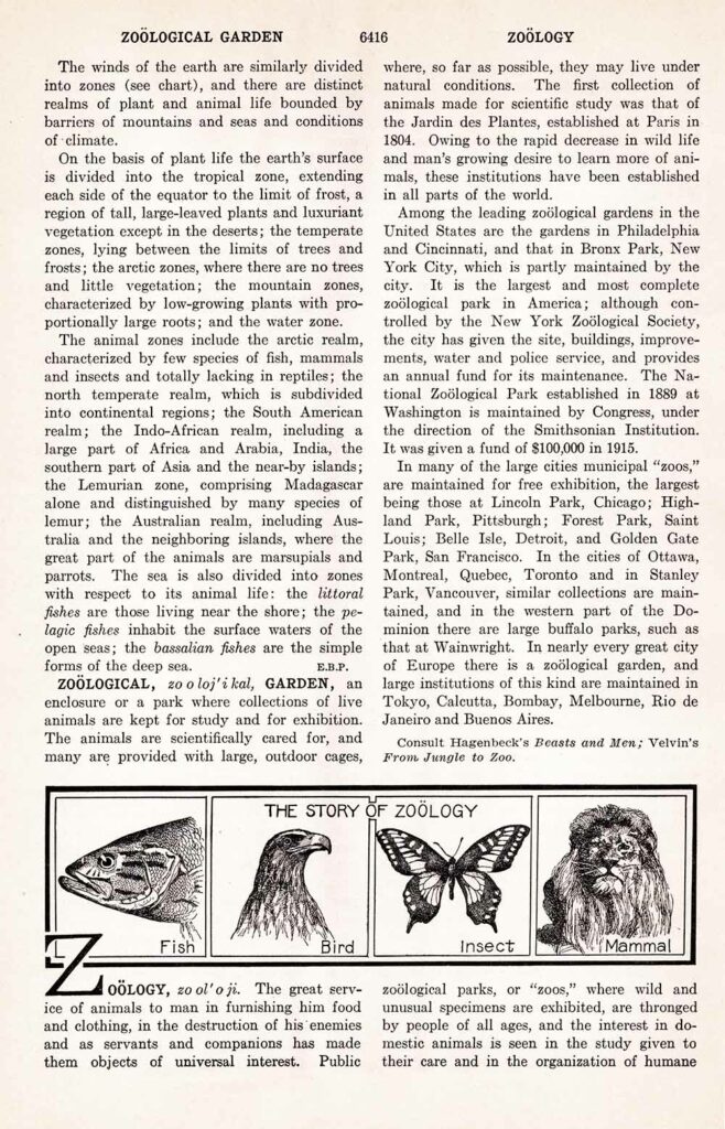 Zoology Wb6416 Web