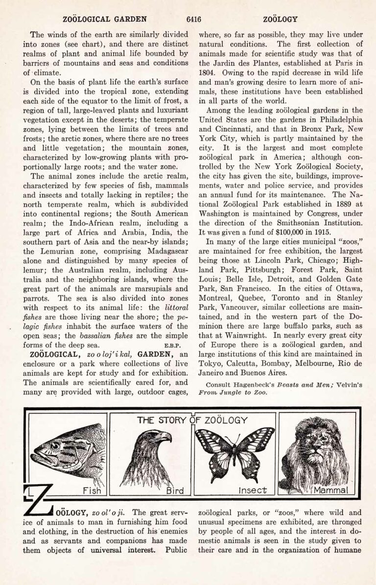 Zoology Vintage Encyclopedia Page