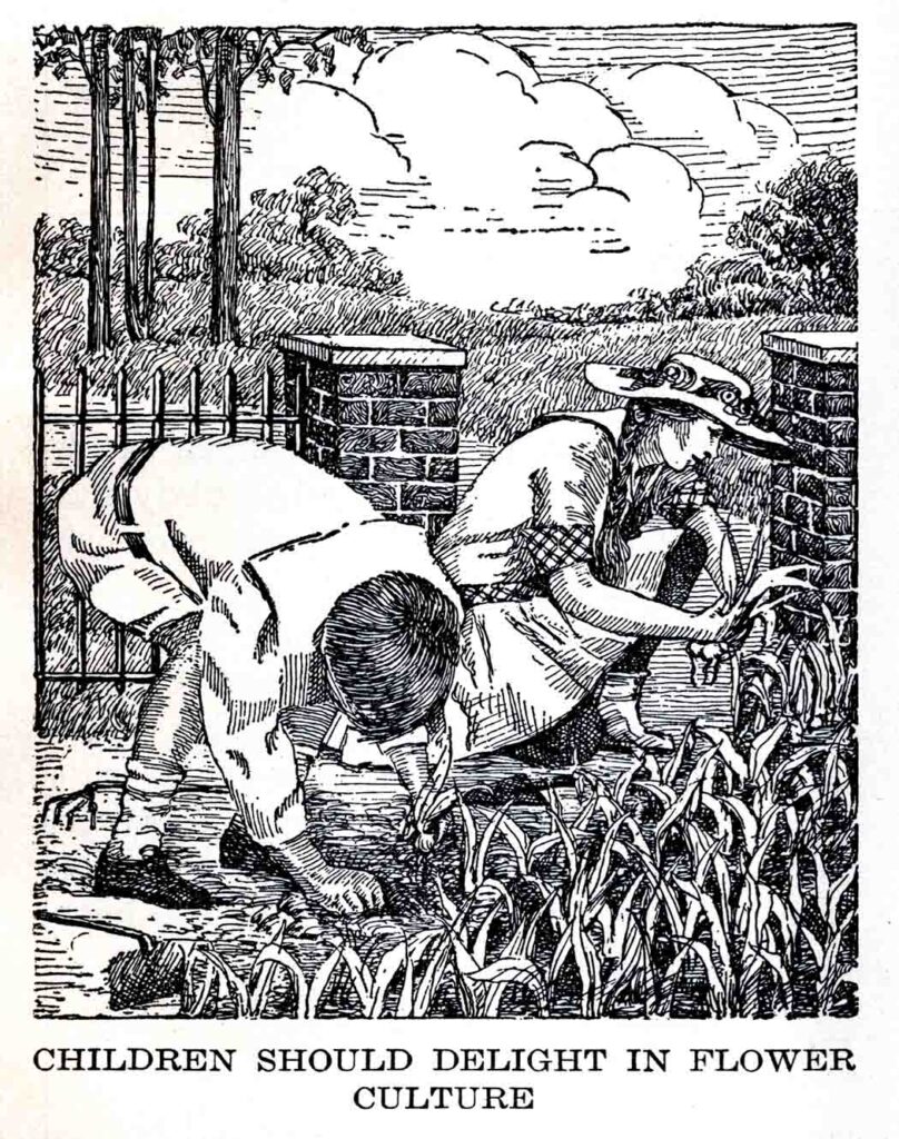 Children Gardening Flower Culture Webres