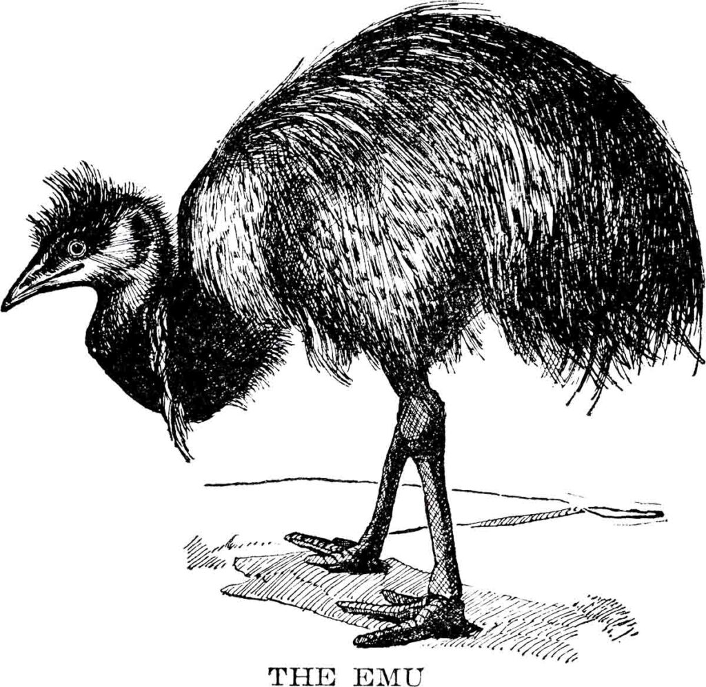 Emu Webres