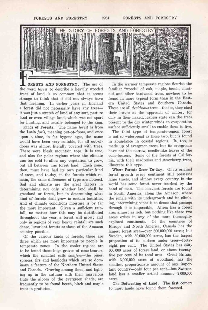 Forests Encyclopedia Page Webres
