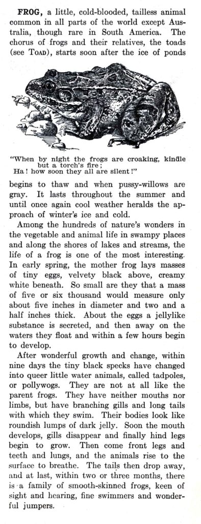 Frog Encyclopedia Webres