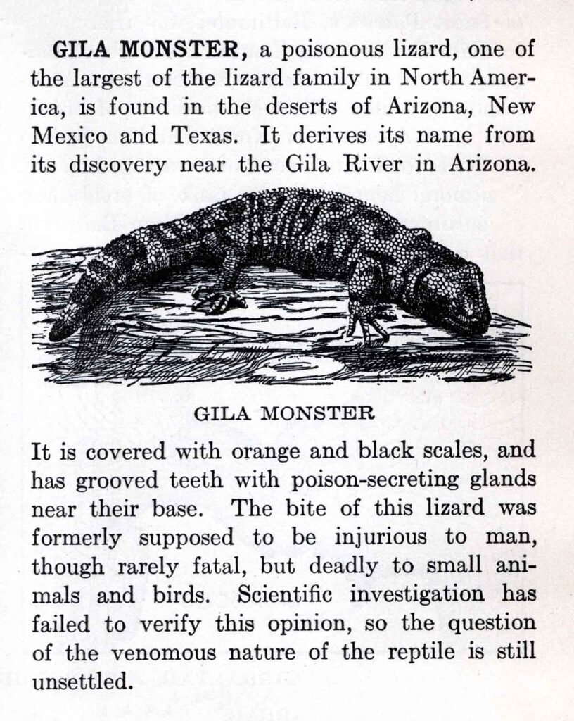 Gila Monster Webres