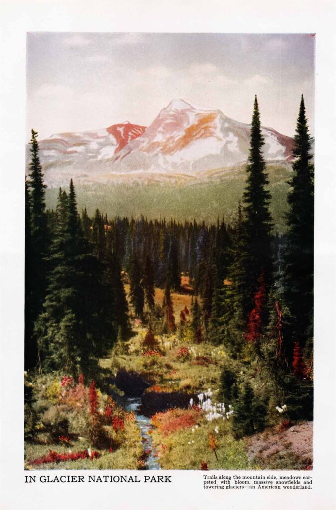Glacier National Park Webres