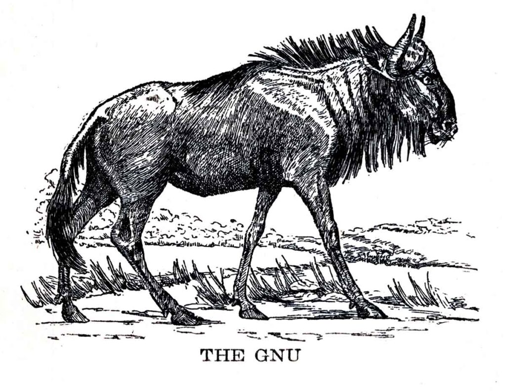 Gnu Webres